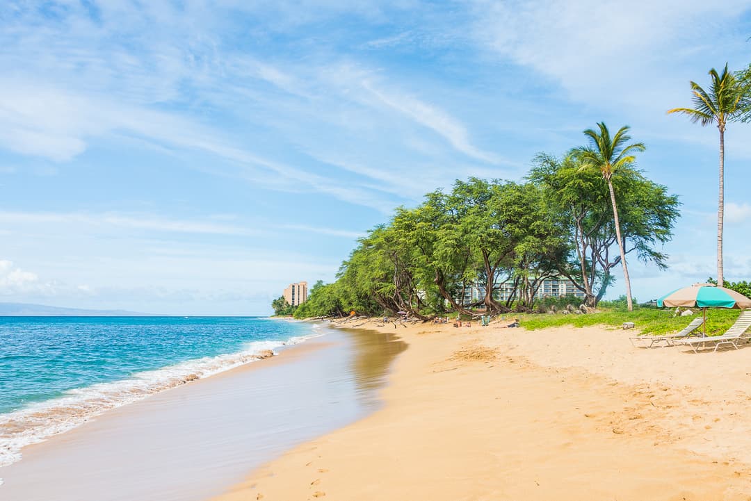 Marari Beach vs Kovalam vs Varkala: Choosing the Right Kerala Beach for Your Trip