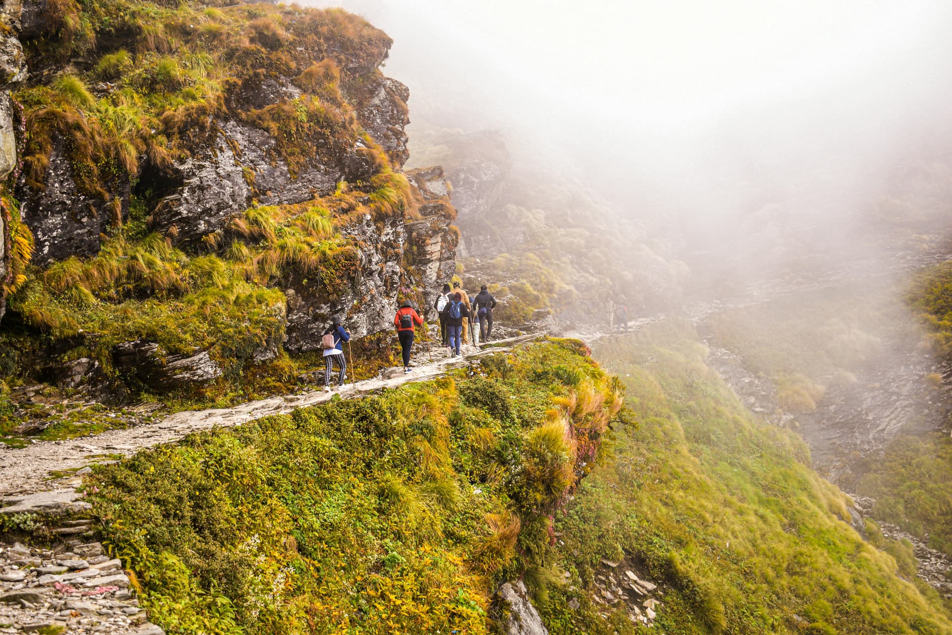 Mountain Trek in India: From Himalayas to Western Ghats 