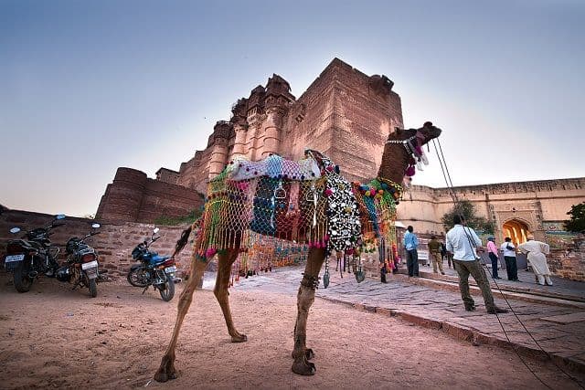 offbeat winter getaways in rajasthan discover hidden gems