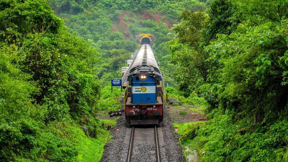 weekend escape from bangalore: best resorts in coorg for a quick break